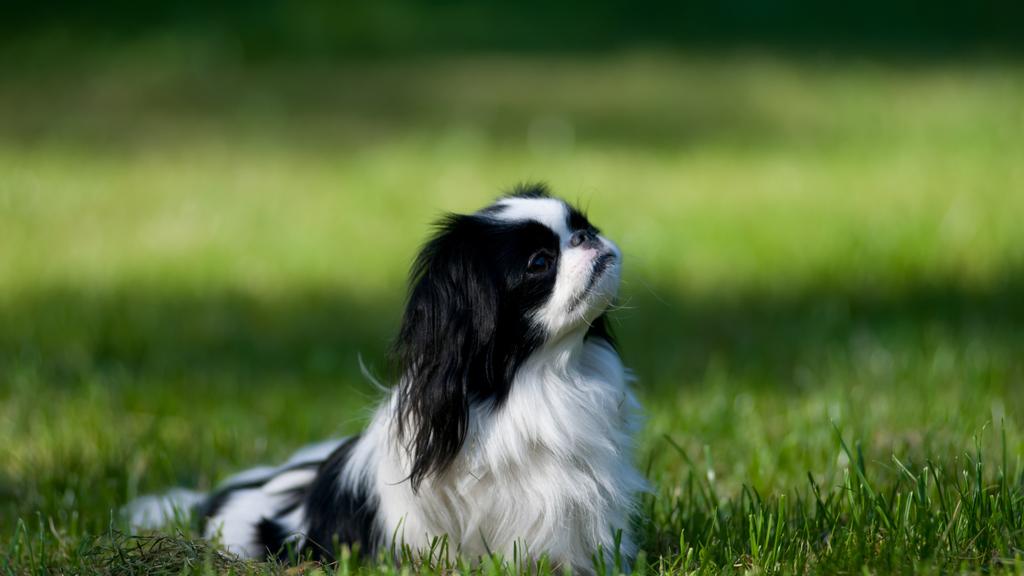 Living Environment Adaptability icon