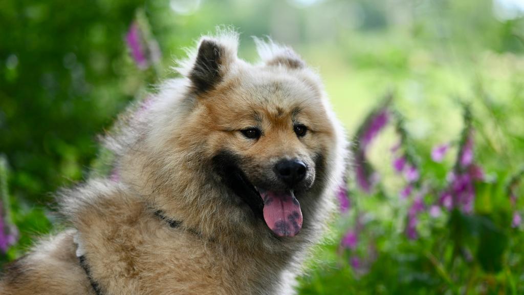 Financial Considerations icon