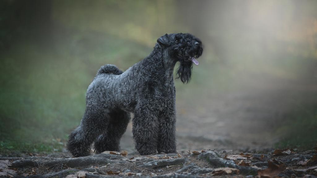 Living Environment Adaptability icon