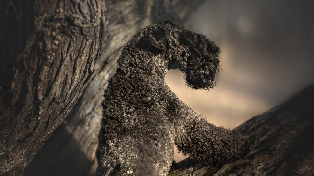 Long-Term Commitment & Special Considerations icon