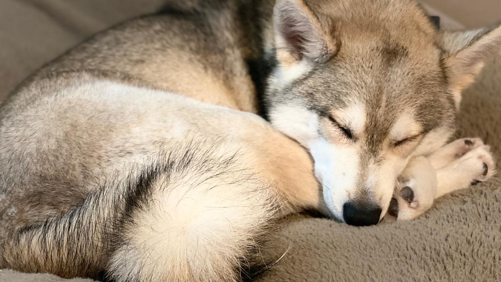 Long-Term Commitment & Special Considerations icon