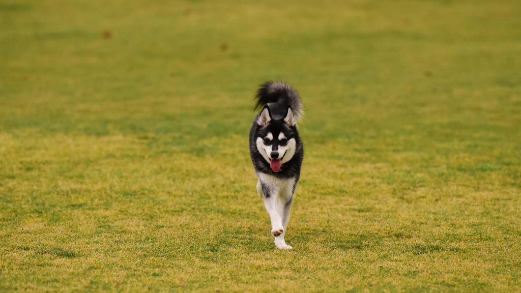 Basic Information icon