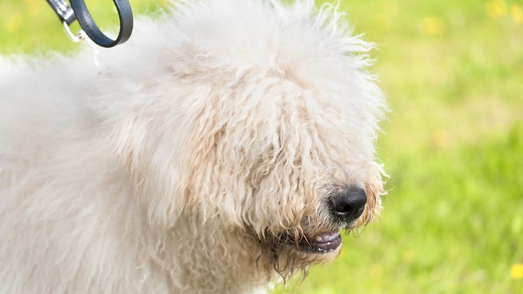 Living Environment Adaptability icon