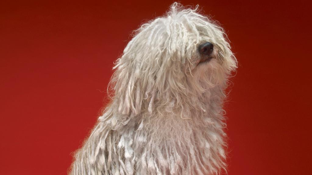 Financial Considerations icon