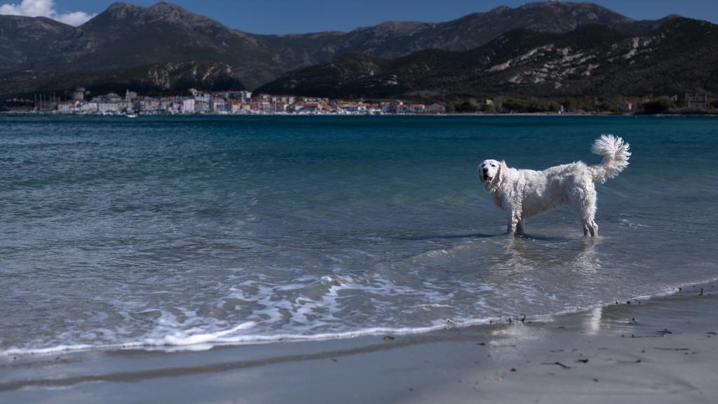 Life Stage Considerations icon