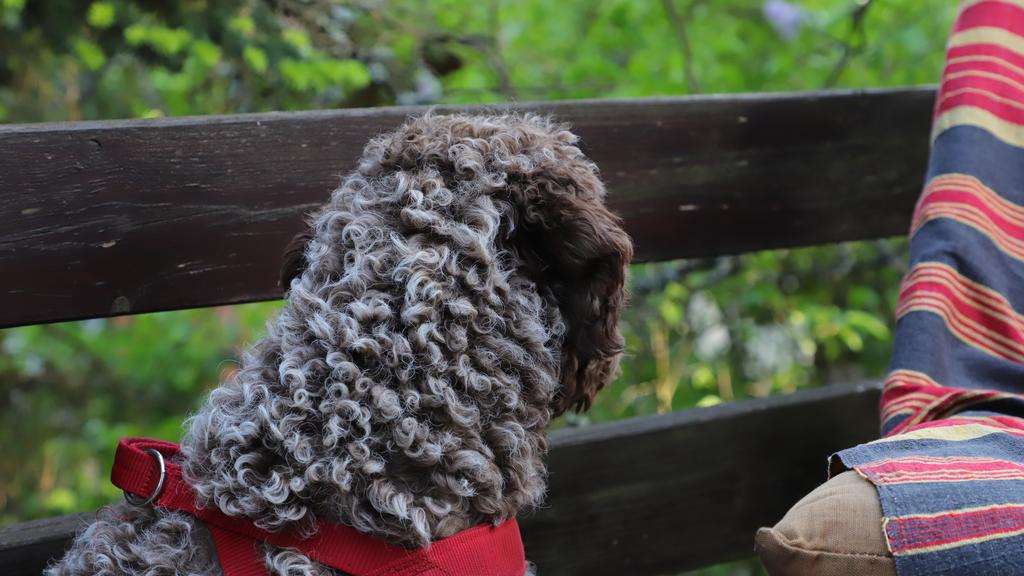 Life Stage Considerations icon