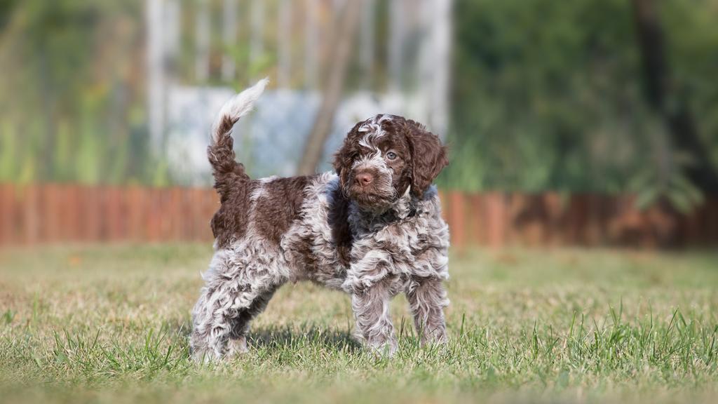 Living Environment Adaptability icon