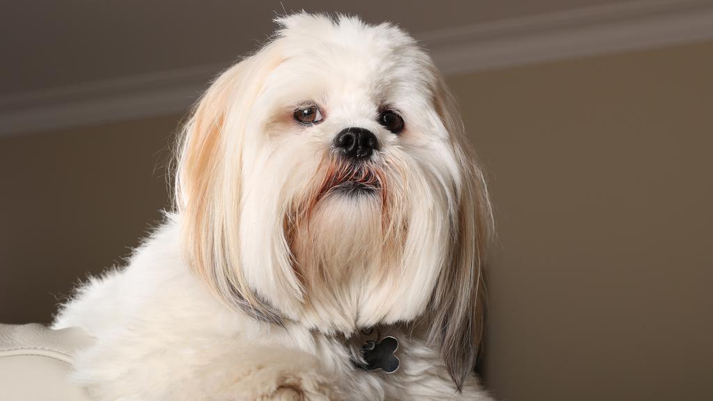 Exercise & Activity Needs icon