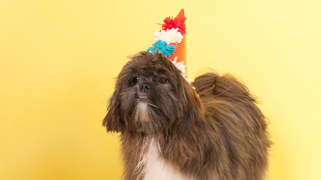 Suitability for First-Time vs. Experienced Owners icon