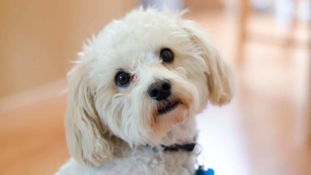 Financial Considerations icon