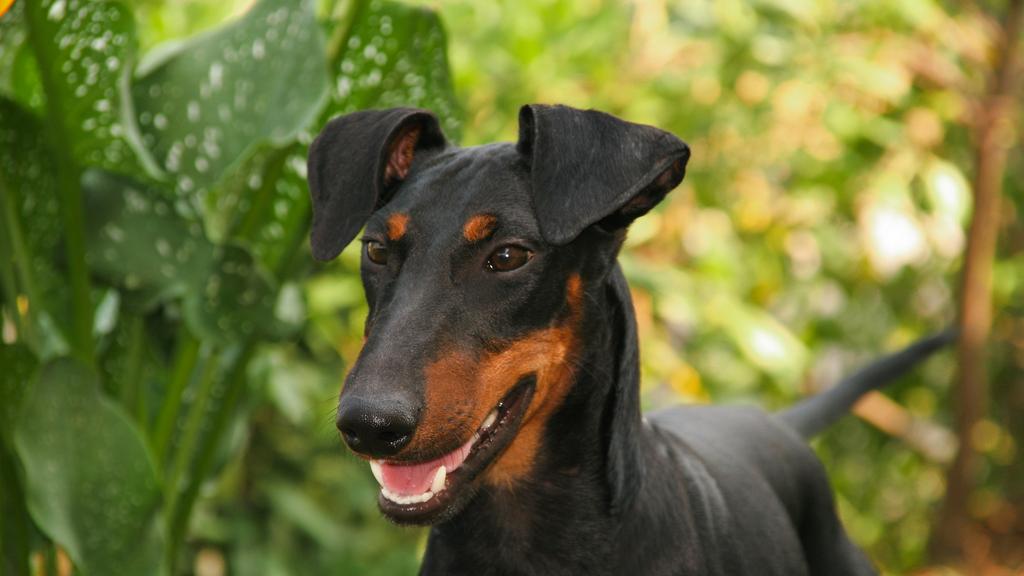 Life Stage Considerations icon