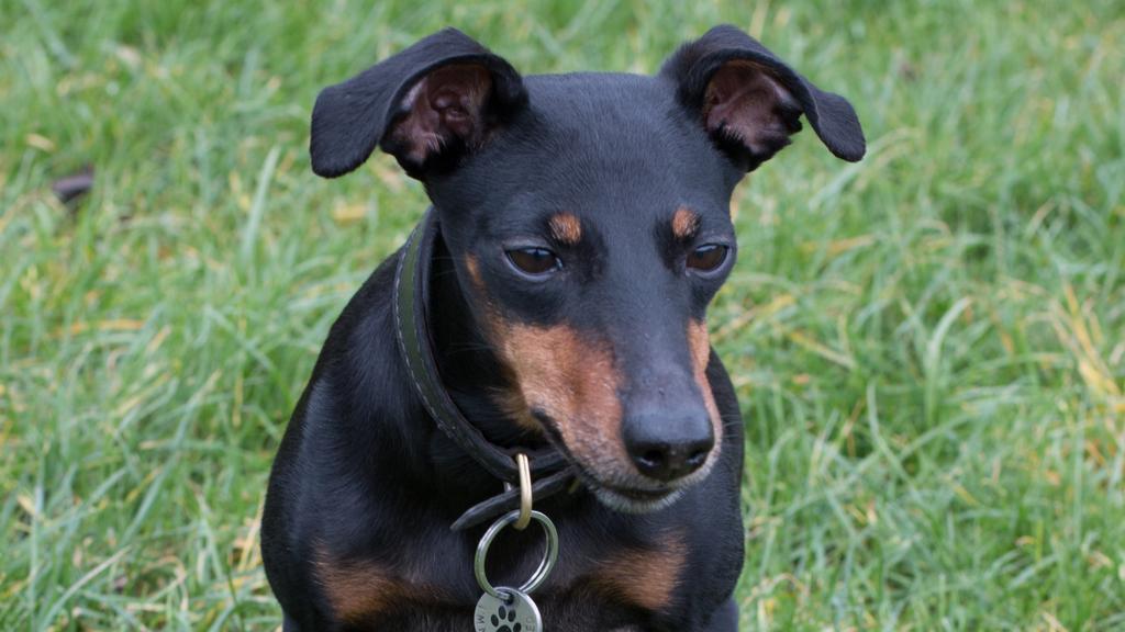 Financial Considerations icon