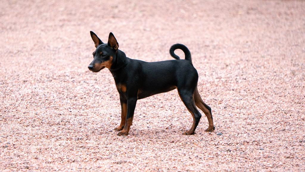 Living Environment Adaptability icon