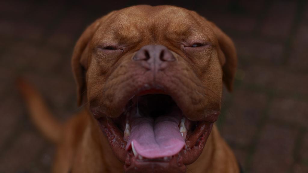 Life Stage Considerations icon