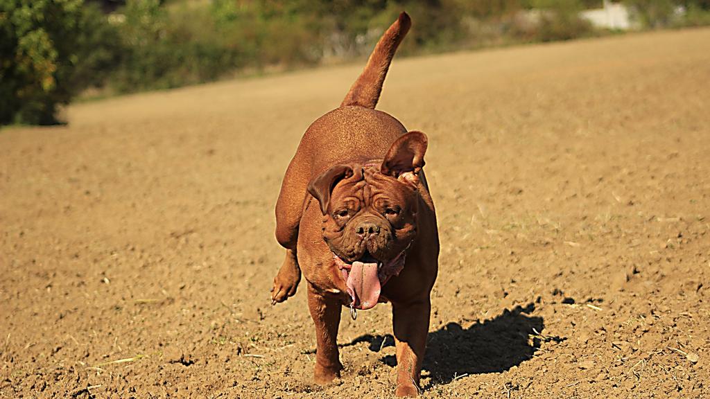 Financial Considerations icon