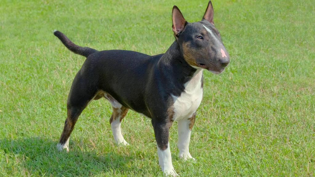 Financial Considerations icon