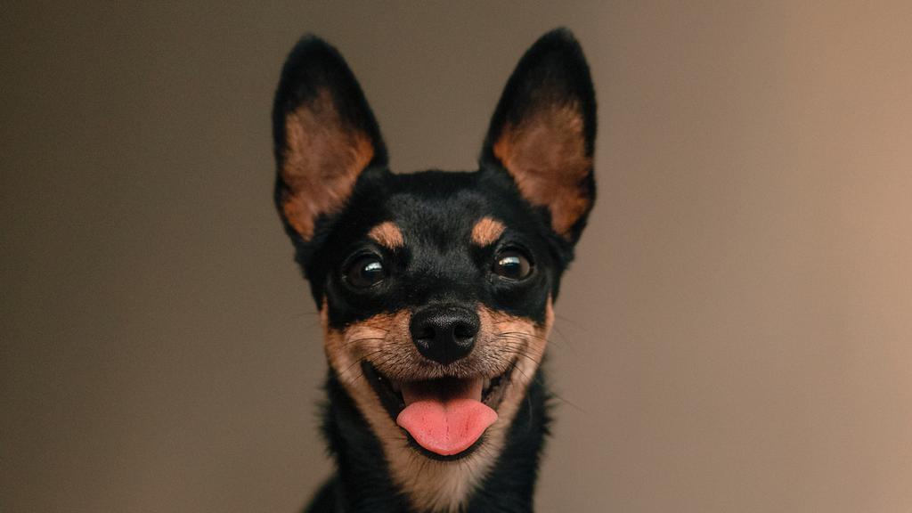 Living Environment Adaptability icon