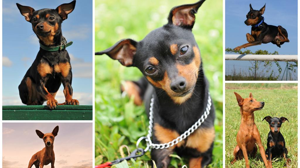 Financial Considerations icon