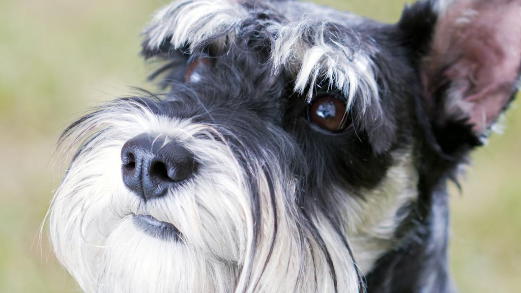 Financial Considerations icon