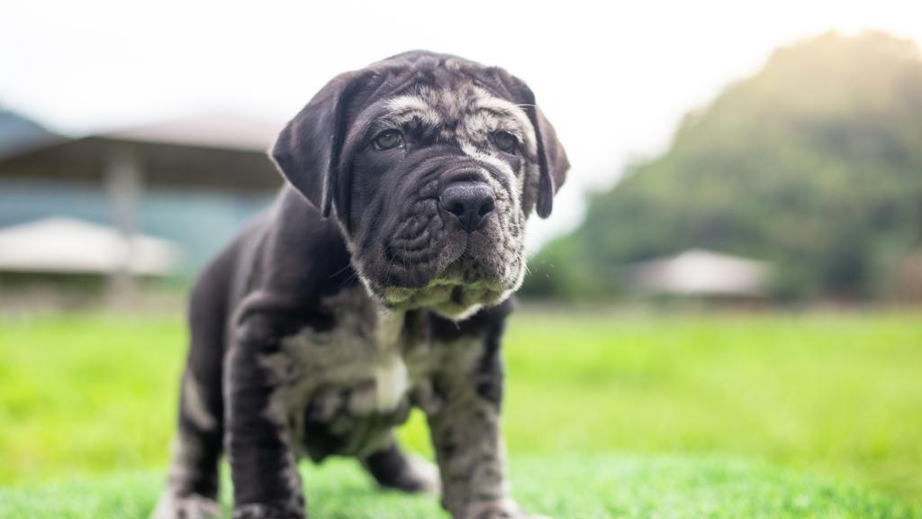 Living Environment Adaptability icon