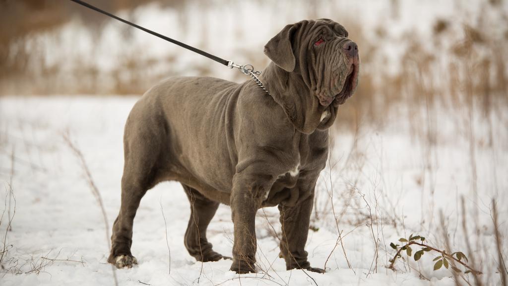 Financial Considerations icon