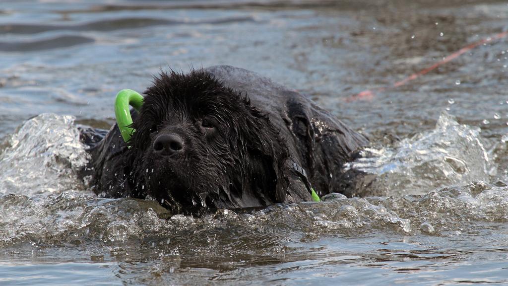 Financial Considerations icon