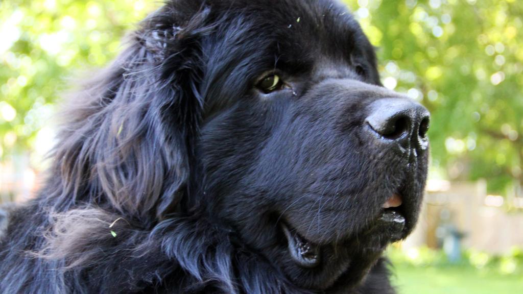 Long-Term Commitment & Special Considerations icon