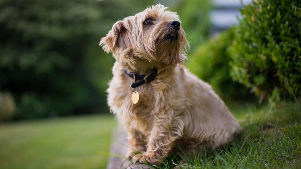 Life Stage Considerations icon