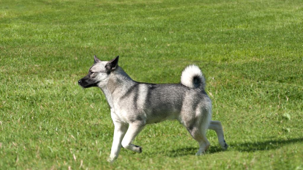 Living Environment Adaptability icon