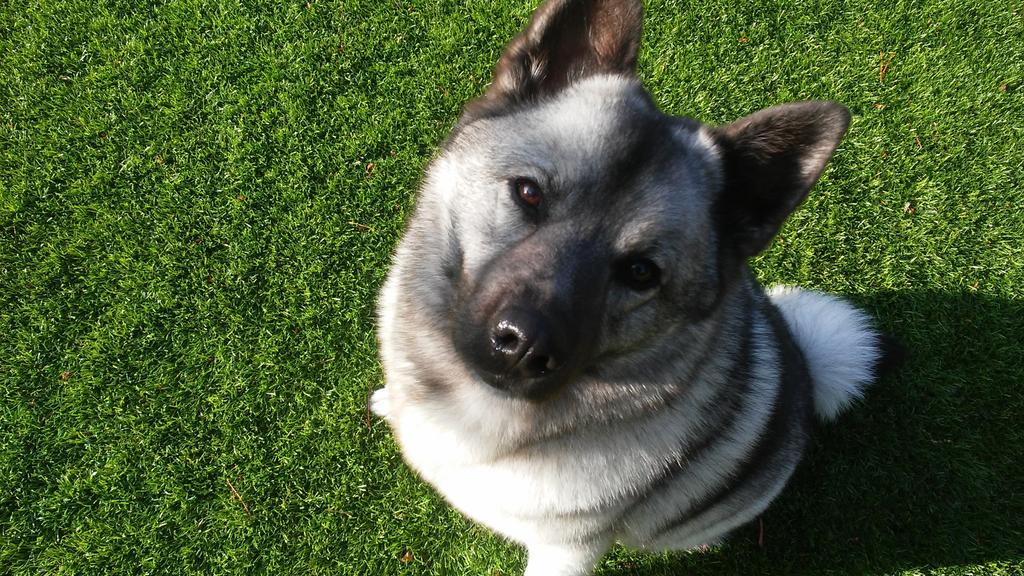 Financial Considerations icon