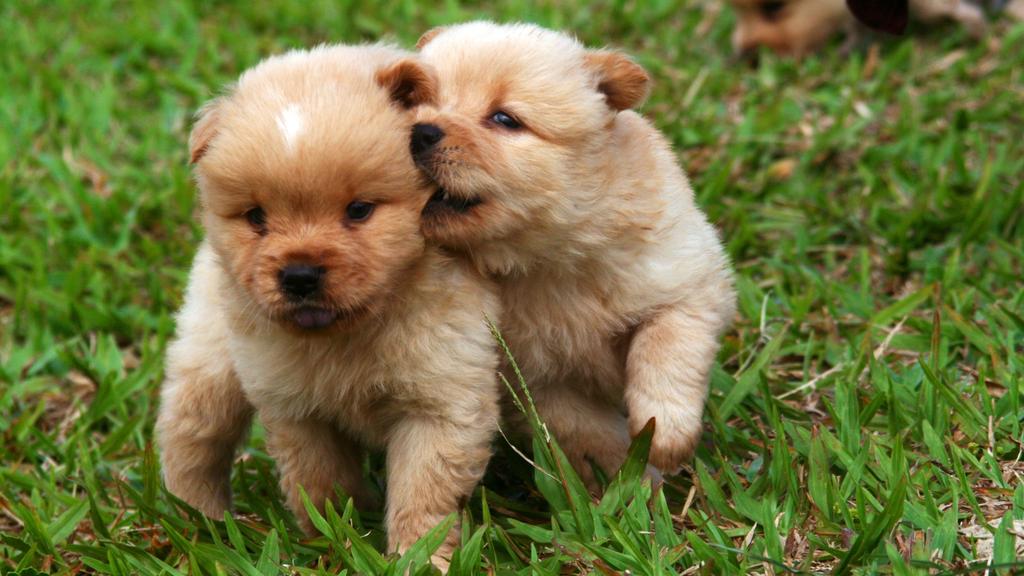 Long-Term Commitment & Special Considerations icon