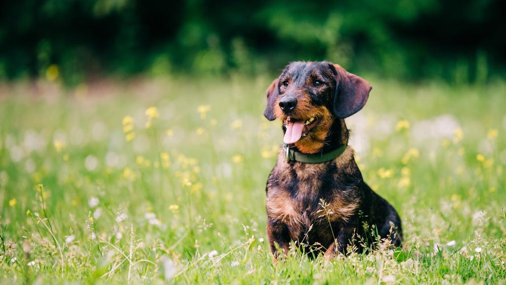 Long-Term Commitment & Special Considerations icon