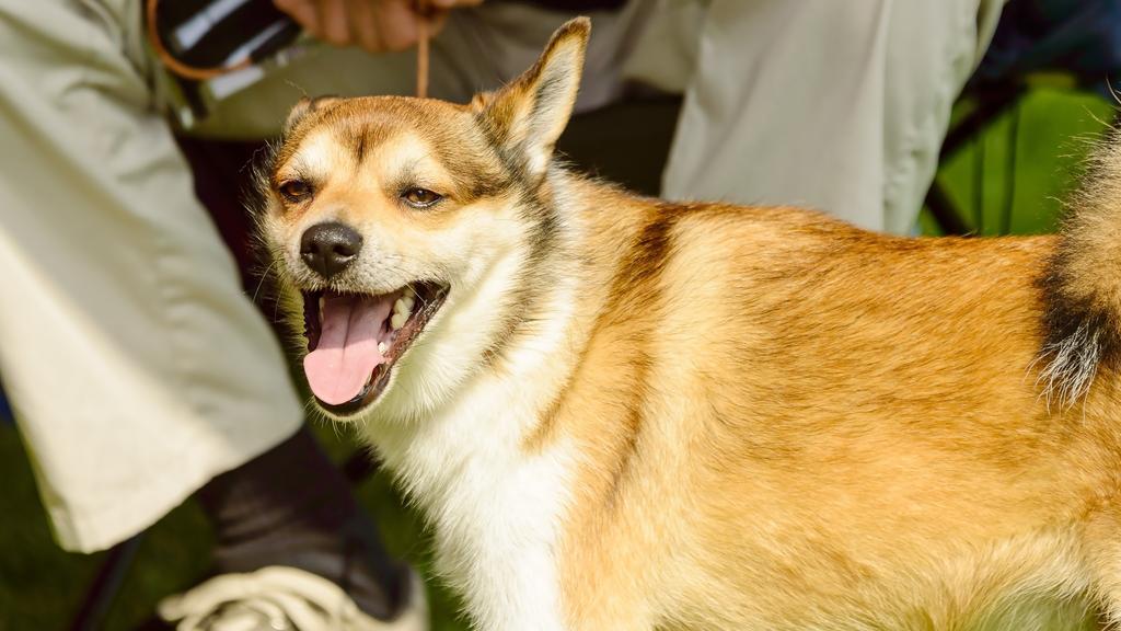 Living Environment Adaptability icon