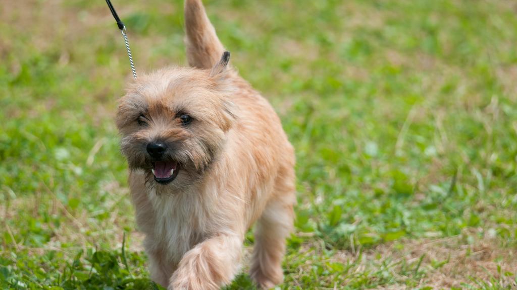 Long-Term Commitment & Special Considerations icon