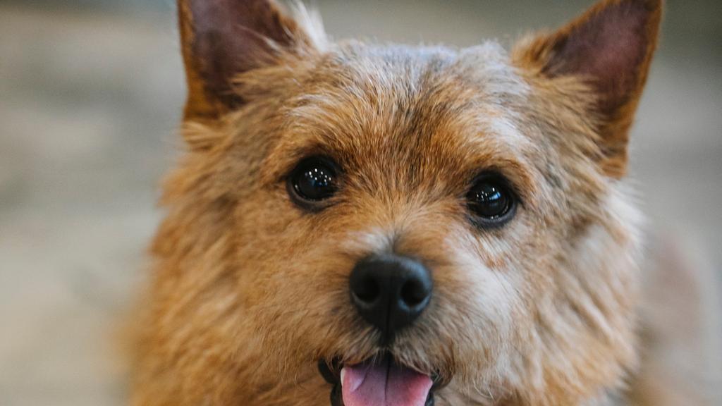 Financial Considerations icon