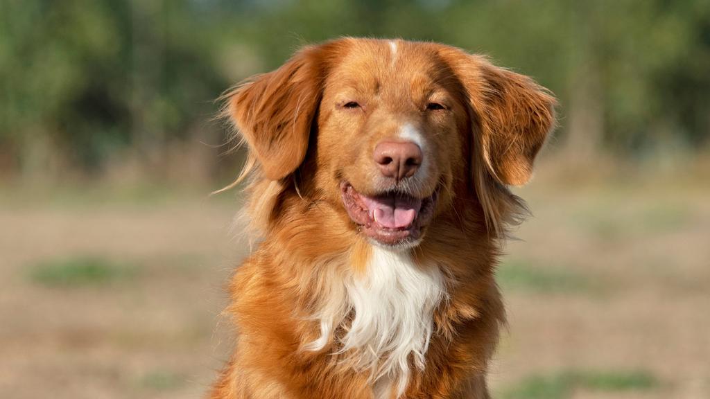 Long-Term Commitment & Special Considerations icon