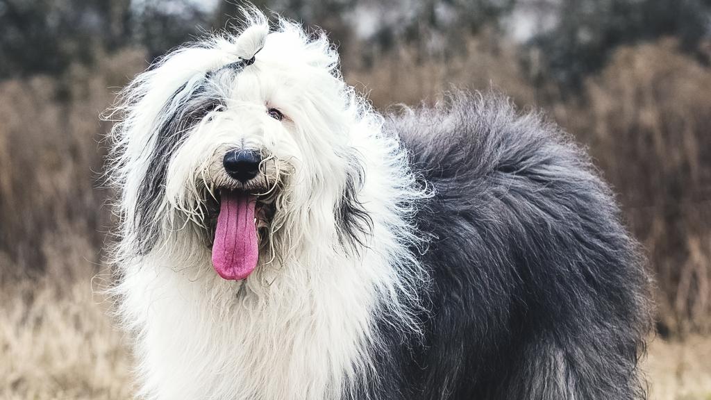 Living Environment Adaptability icon