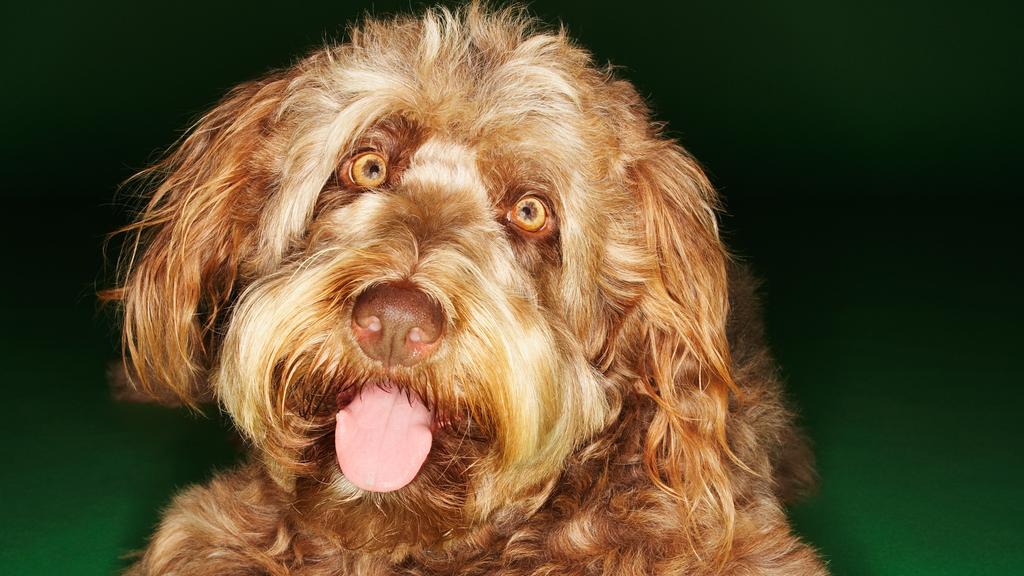 Life Stage Considerations icon