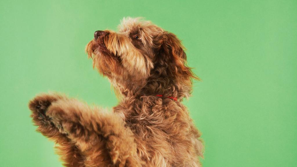 Living Environment Adaptability icon