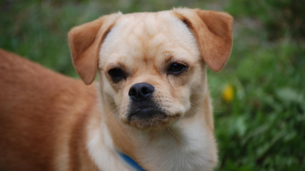 Exercise & Activity Needs icon