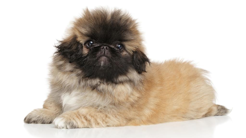 Long-Term Commitment & Special Considerations icon