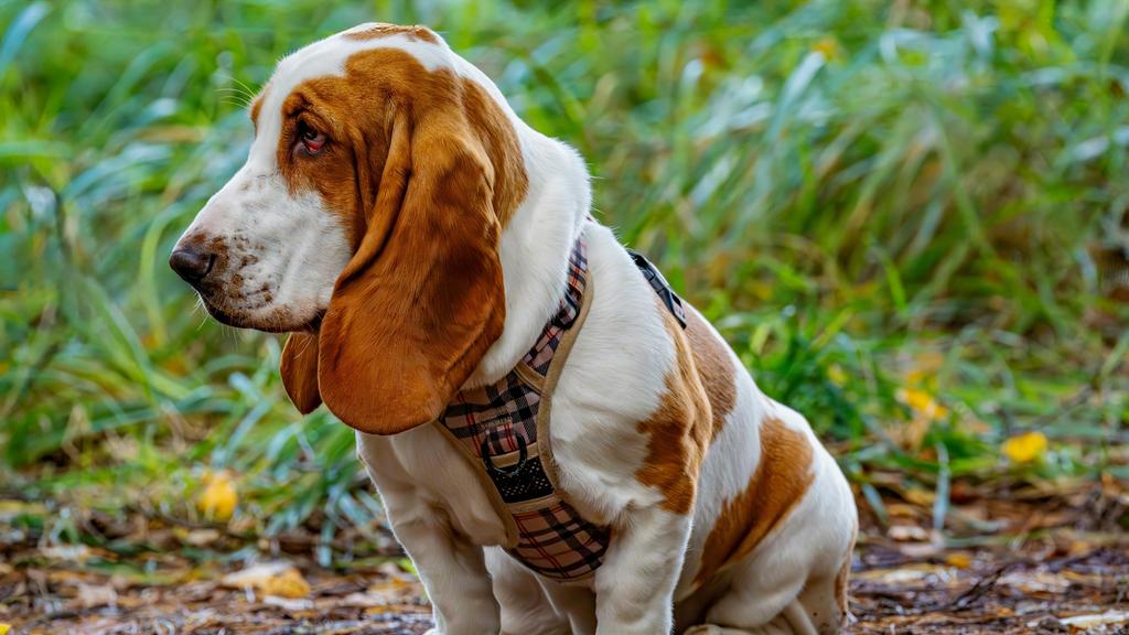 Financial Considerations icon