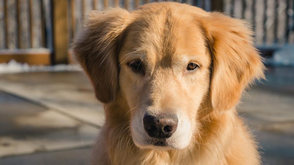 Living Environment Adaptability icon