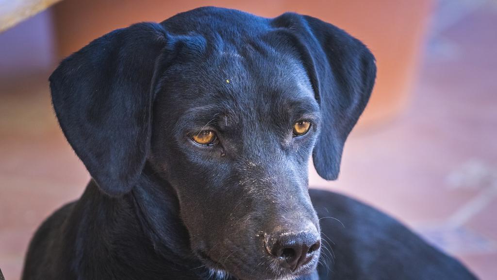 Long-Term Commitment & Special Considerations icon