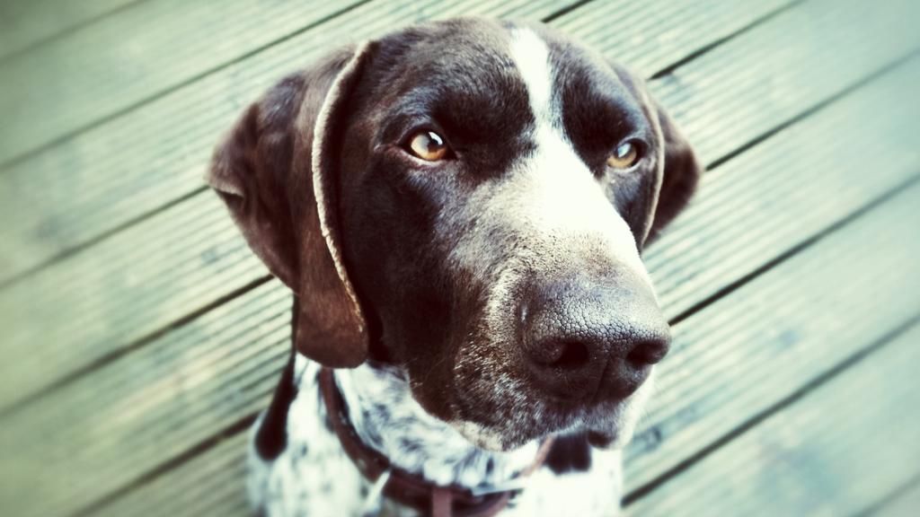 Life Stage Considerations icon