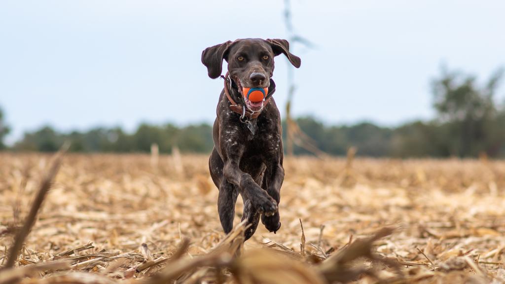 Financial Considerations icon