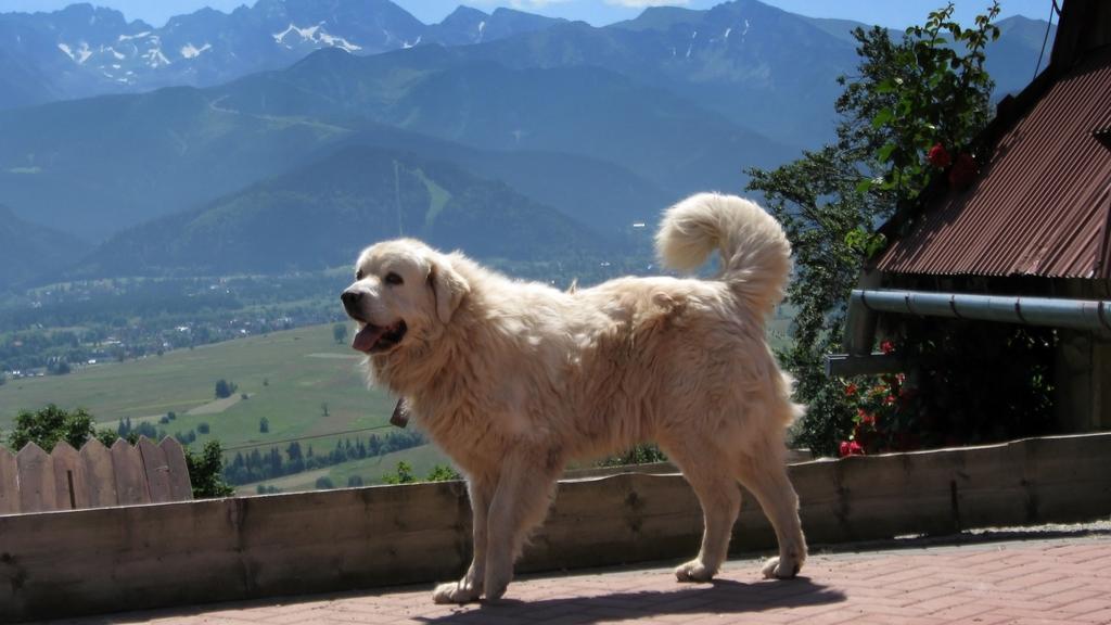 Financial Considerations icon