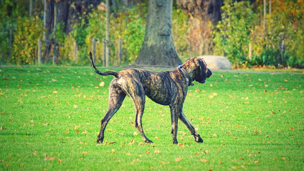 Financial Considerations icon