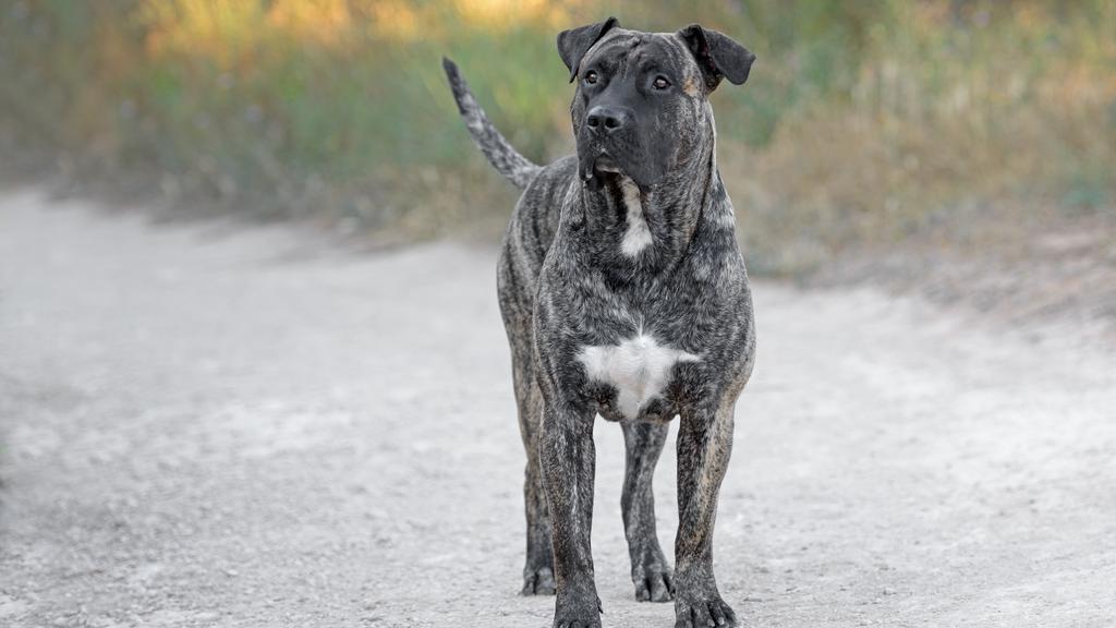 Long-Term Commitment & Special Considerations icon