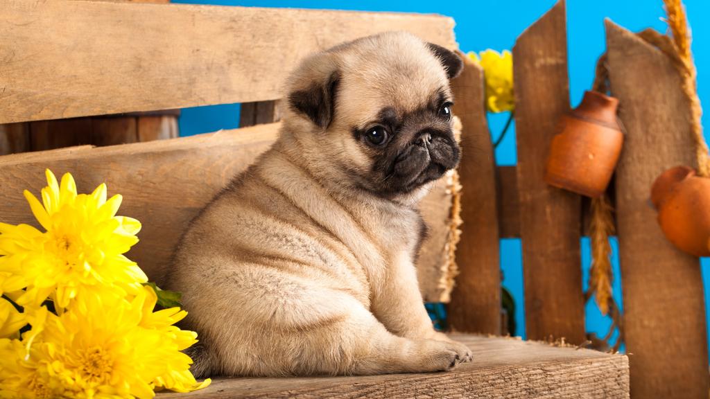 Long-Term Commitment & Special Considerations icon